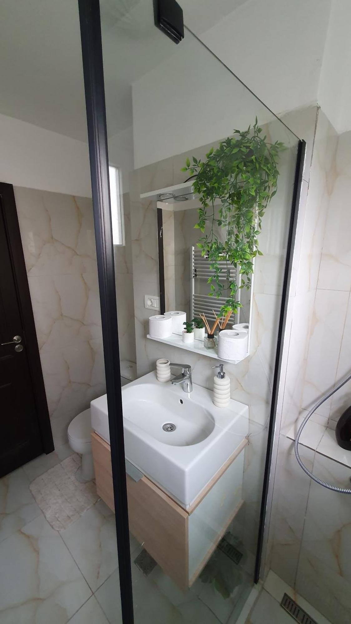 Andrei Apartment Brassó Kültér fotó